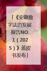 《安徽数字法治发展报告NO.1（2025）》蓝皮书发布