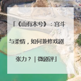 《山有木兮》：宫斗与柔情，如何兼修戏剧张力？｜微剧评