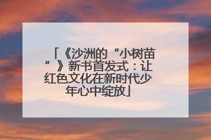《沙洲的“小树苗”》新书首发式：让红色文化在新时代少年心中绽放