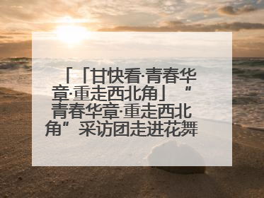 「甘快看·青春华章·重走西北角」“青春华章·重走西北角”采访团走进花舞南山 探寻天水乡村振兴之路