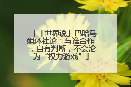 「世界说」巴哈马媒体社论：与谁合作，自有判断，不会沦为“权力游戏”