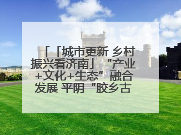 「城市更新 乡村振兴看济南」“产业+文化+生态”融合发展 平阴“胶乡古镇”探索振兴路径成效显著