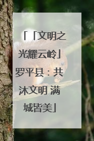 「文明之光耀云岭」罗平县：共沐文明 满城皆美