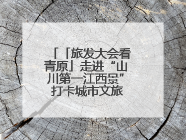 「旅发大会看青原」走进“山川第一江西景” 打卡城市文旅新地标（图）
