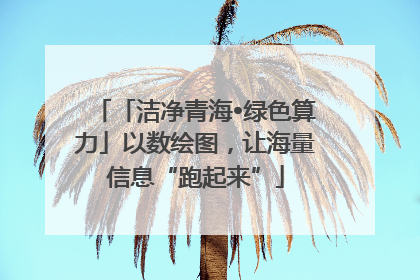 「洁净青海•绿色算力」以数绘图，让海量信息“跑起来”