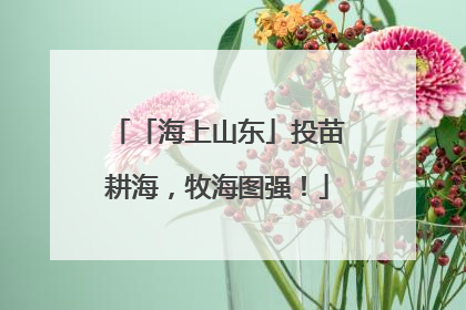 「海上山东」投苗耕海，牧海图强！