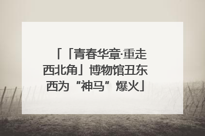 「青春华章·重走西北角」博物馆丑东西为“神马”爆火