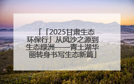 「2025甘肃生态环保行」从风沙之源到生态绿洲——青土湖华丽转身书写生态新篇