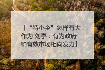 “特小乡”怎样有大作为 刘亭：有为政府和有效市场相向发力