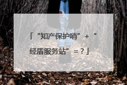 “知产保护哨”+“经盾服务站”=？