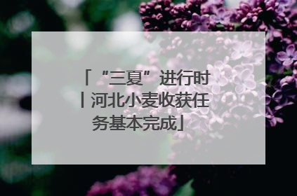 “三夏”进行时丨河北小麦收获任务基本完成
