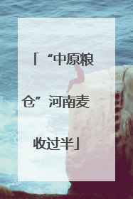 “中原粮仓”河南麦收过半