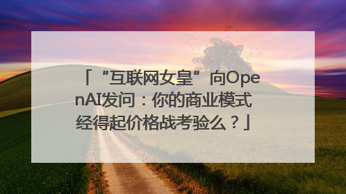 “互联网女皇”向OpenAI发问：你的商业模式经得起价格战考验么？