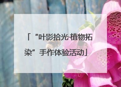 “叶影拾光·植物拓染”手作体验活动