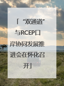 “双通道”与RCEP口岸协同发展推进会在怀化召开
