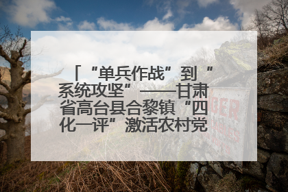 “单兵作战”到“系统攻坚”——甘肃省高台县合黎镇“四化一评”激活农村党员管理新引擎