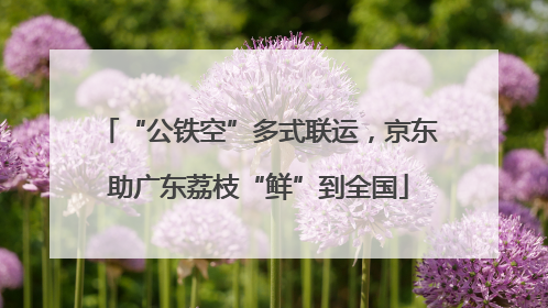 “公铁空”多式联运，京东助广东荔枝“鲜”到全国