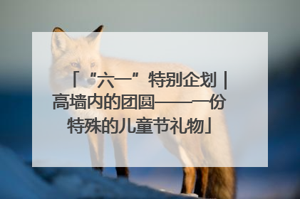 “六一”特别企划｜高墙内的团圆——一份特殊的儿童节礼物