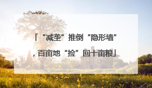“减垄”推倒“隐形墙”，百亩地“捡”回十亩粮