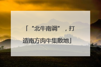 “北牛南调”，打造南方肉牛集散地