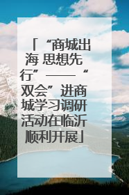“商城出海 思想先行”——“双会”进商城学习调研活动在临沂顺利开展