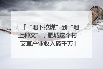 “地下挖煤”到“地上种艾”，肥城这个村艾草产业收入破千万