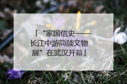 “家国信史——长江中游简牍文物展”在武汉开幕