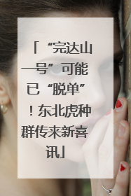 “完达山一号”可能已“脱单”！东北虎种群传来新喜讯