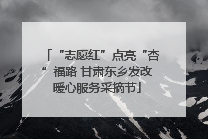 “志愿红”点亮“杏”福路 甘肃东乡发改暖心服务采摘节