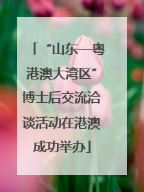 “山东—粤港澳大湾区”博士后交流洽谈活动在港澳成功举办