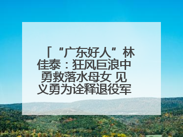 “广东好人”林佳泰：狂风巨浪中勇救落水母女 见义勇为诠释退役军人担当