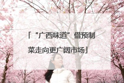 “广西味道”借预制菜走向更广阔市场