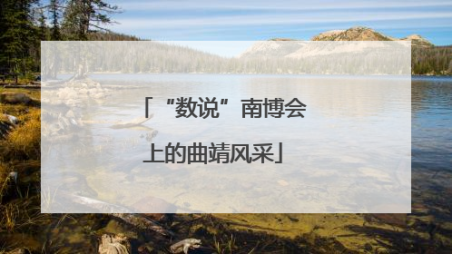 “数说”南博会上的曲靖风采