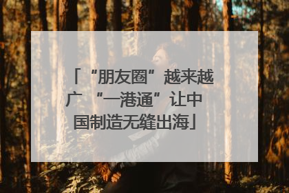“朋友圈”越来越广 “一港通”让中国制造无缝出海