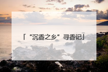 “沉香之乡”寻香记