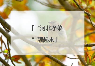 “河北净菜”靓起来