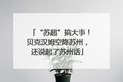 “苏超”搞大事！贝克汉姆空降苏州，还说起了苏州话