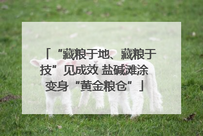 “藏粮于地、藏粮于技”见成效 盐碱滩涂变身“黄金粮仓”