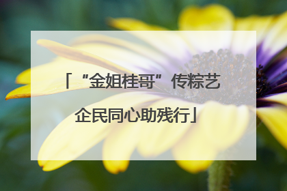 “金姐桂哥”传粽艺 企民同心助残行