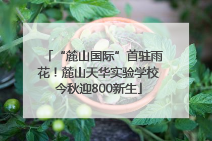“麓山国际”首驻雨花！麓山天华实验学校今秋迎800新生