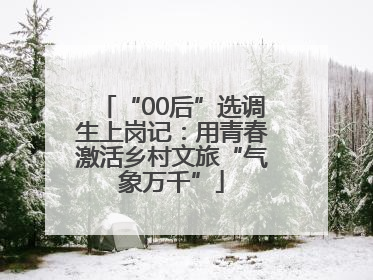 “00后”选调生上岗记：用青春激活乡村文旅“气象万千”