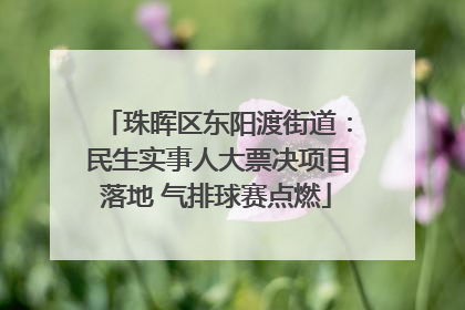 珠晖区东阳渡街道：民生实事人大票决项目落地 气排球赛点燃