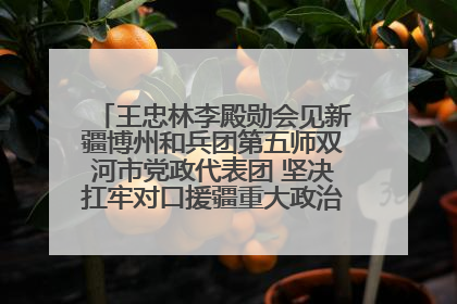 王忠林李殿勋会见新疆博州和兵团第五师双河市党政代表团 坚决扛牢对口援疆重大政治责任 推动双方实现优势互补务实合作