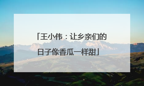 王小伟：让乡亲们的日子像香瓜一样甜