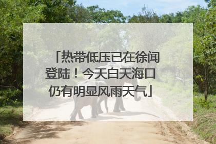 热带低压已在徐闻登陆！今天白天海口仍有明显风雨天气
