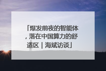 爆发前夜的智能体，落在中国算力的舒适区｜海斌访谈