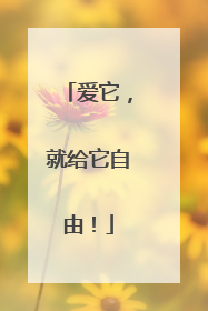 爱它，就给它自由！