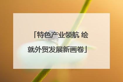 特色产业领航 绘就外贸发展新画卷