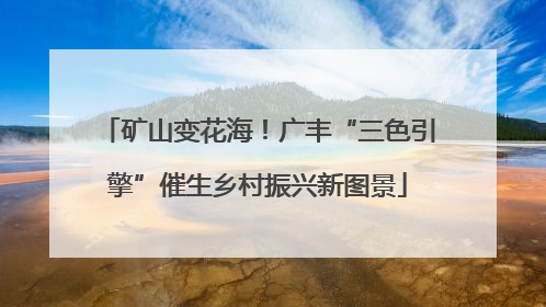 矿山变花海！广丰“三色引擎”催生乡村振兴新图景