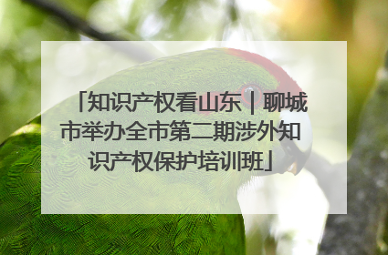 知识产权看山东｜聊城市举办全市第二期涉外知识产权保护培训班